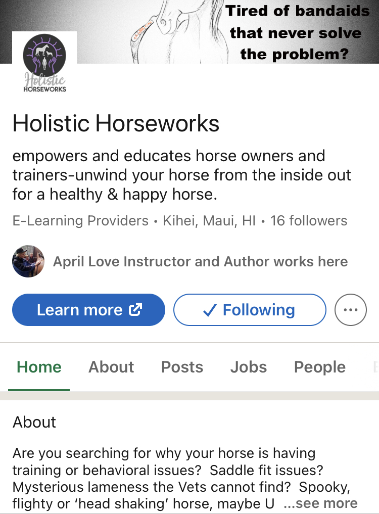 Holistic Horseworks Linkedin