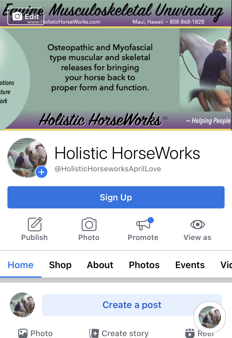 Holistic Horseworks Facebook