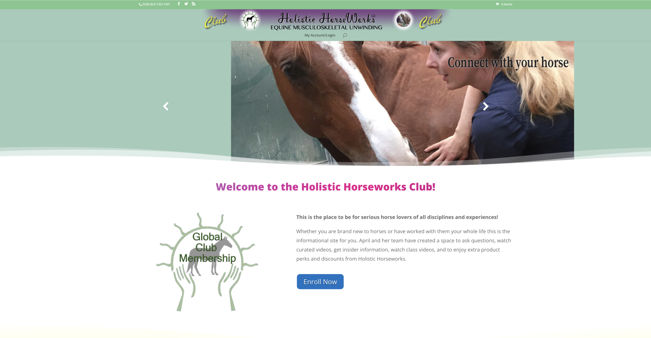 Holistic Horseworks Club Website Sample 1