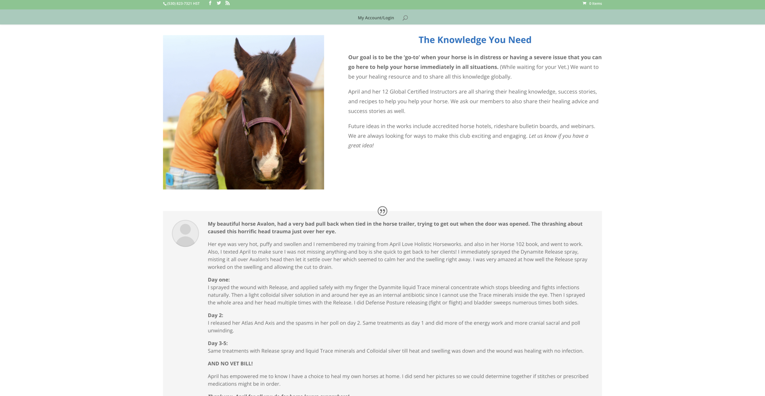 Holistic Horseworks Club Website Sample 4