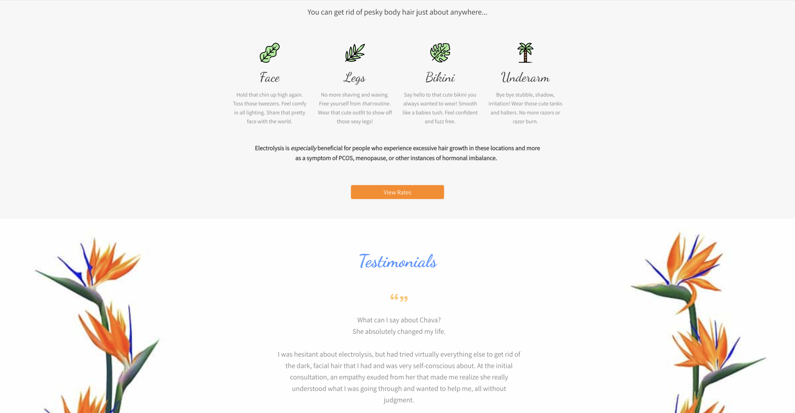 Juicy Roots Website Sample 3