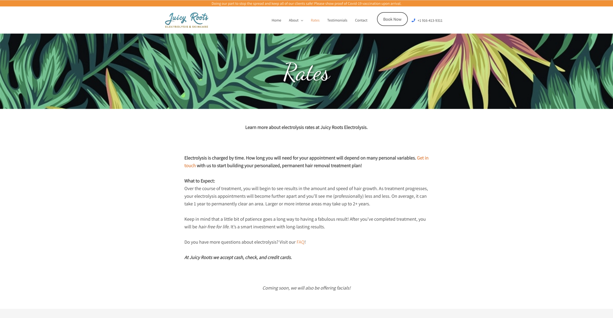 Juicy Roots Website Sample 5