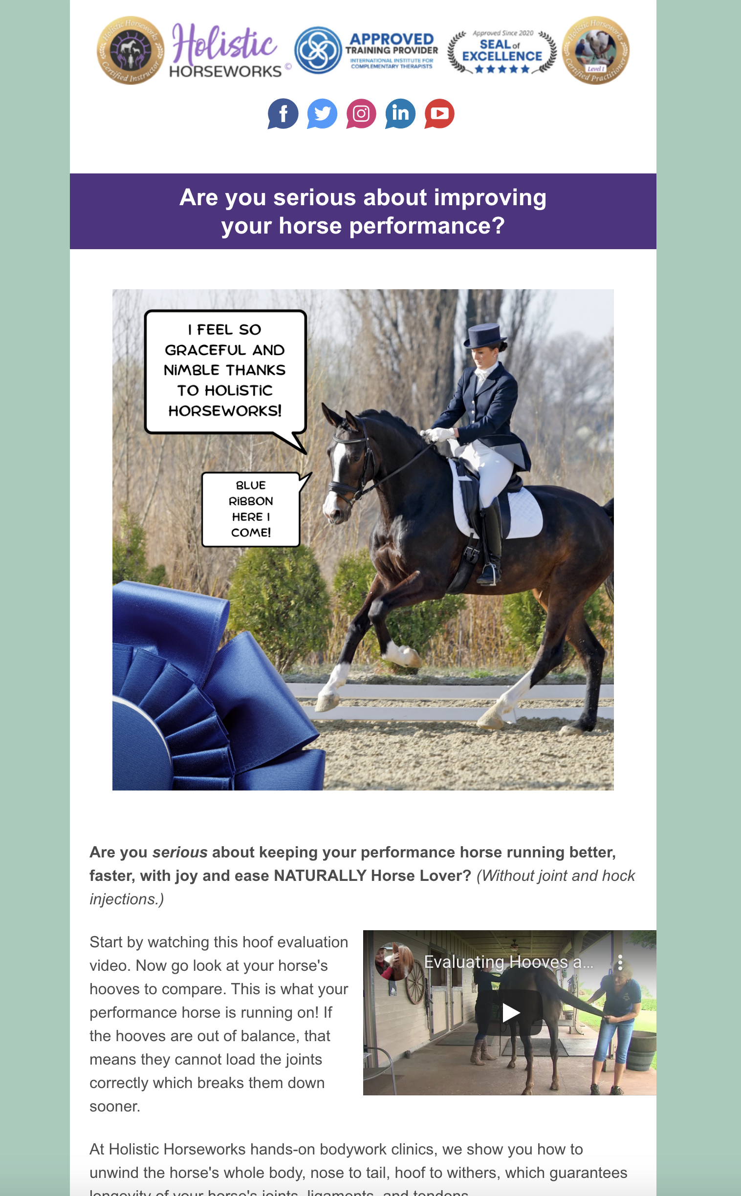Holistic Horseworks Email Sample 6