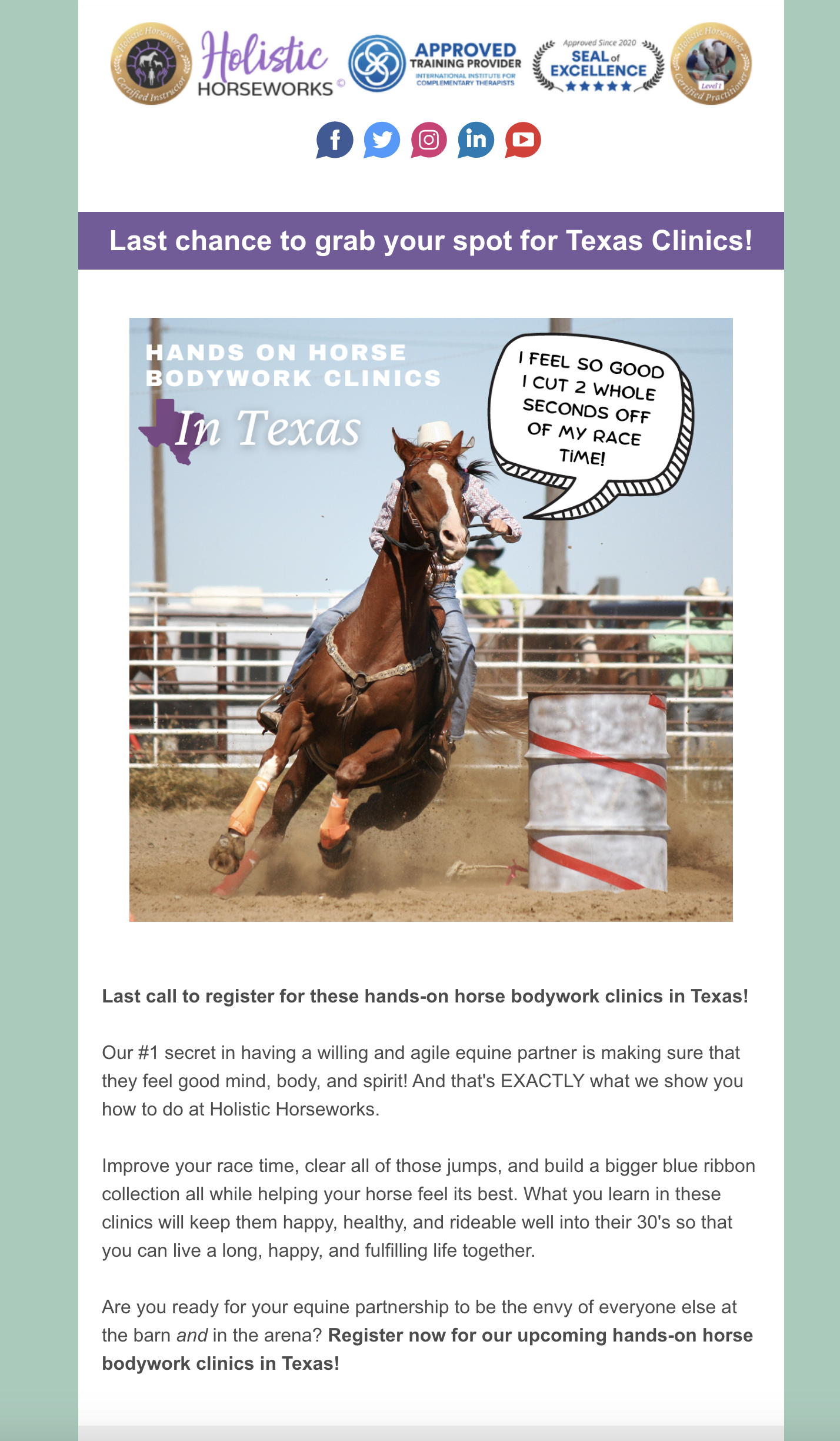 Holistic Horseworks Email Sample 2