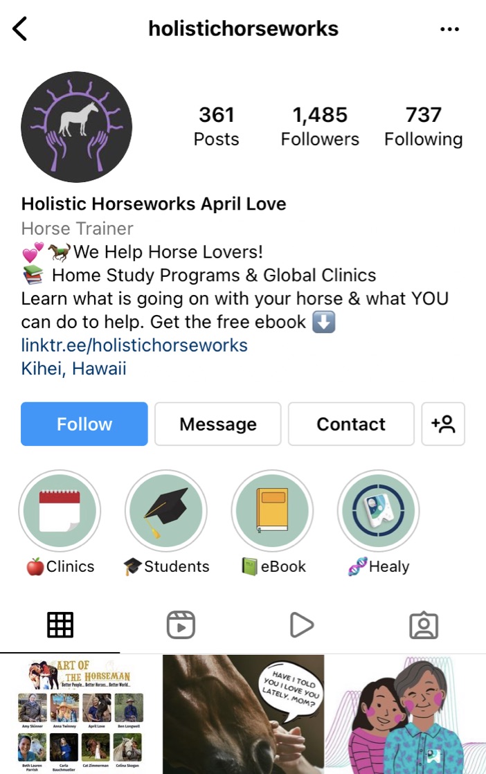 Holistic Horseworks Instagram